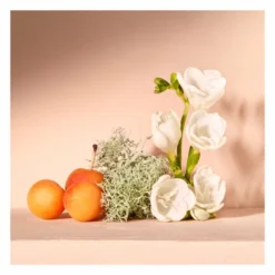 Chloé Chloe Nomade Eau De Parfum Spray -Vitaal Glam Verkoopwinkel 1012951 4