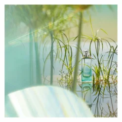 Hermès Hermes Un Jardin Sur Le Nil Eau De Toilette Spray -Vitaal Glam Verkoopwinkel 1013545 3