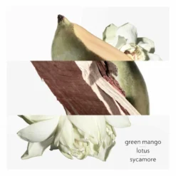 Hermès Hermes Un Jardin Sur Le Nil Eau De Toilette Spray -Vitaal Glam Verkoopwinkel 1013545 4