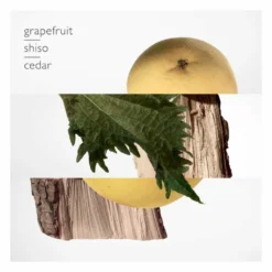 Hermès Hermes Terre Du0027Hermes Eau De Parfum Spray -Vitaal Glam Verkoopwinkel 1013551 4