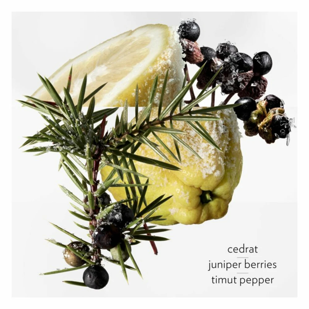 Hermès Hermes Terre Du0027Hermes Eau Givree Eau De Parfum 5 Hermès Hermes Terre Du0027Hermes Eau Givree Eau De Parfum - Afbeelding 3